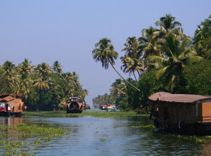 South India: Explore Kerala - Visit Vembanad Wetlands Conservation Programme