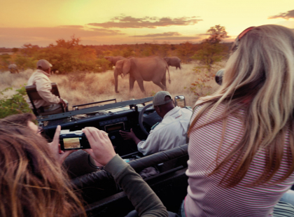 Kruger, Falls & Zimbabwe - Kruger National Park Open Vehicle Wildlife Safari Drive - Full day