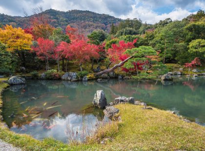 Explore Kyoto’s famous temples and Zen gardens, resplendent with cherry blossoms in spring and amber leaves in fall, meticulously and purposely crafted centuries ago.