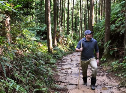 Enjoy three days on the sacred Kumano Kodo Pilgrimage trail, hiking ancient paths through cedar and cypress forests, visiting impressive shrines and quaint mountain villages.
