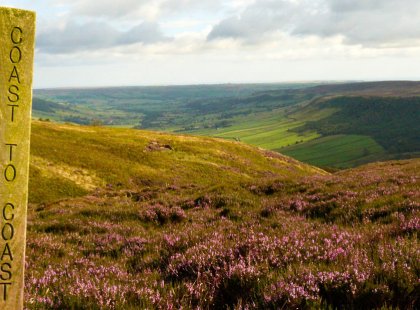 Discover the heather-clad ridges and windswept moorland of the North York Moors.