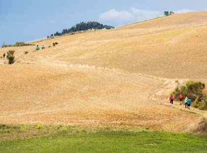 Gentle hills dotted with wheat fields and olive groves line our way to ancient villages and walled hilltowns.
