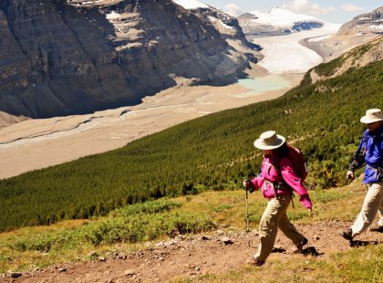 We drive the famed Icefields Parkway and hike among the glaciers of the Columbia Icefield, its meltwaters feeding the Atlantic, Pacific and Arctic Oceans.