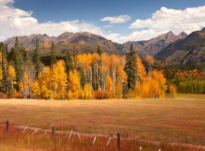 From Durango, we take a hike in beautiful San Juan National Forest through dense woodlands of spruce, fir and aspen.