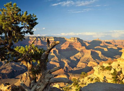 From Scottsdale, Arizona, we'll travel north by van through the picturesque Arizona desert to our Grand Canyon starting point.