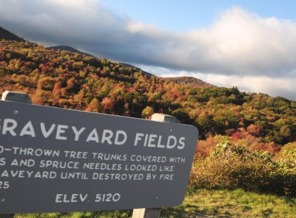 Graveyard Fields is a fascinating area. Your local guides will share how this area was transformed by fire.