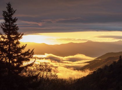 Our four-day journey through the Blue Ridge Mountains offers expansive views of Appalachian peaks.