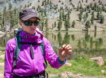 Our backcountry guides provide valuable insight into the flora and fauna of the high alpine wilderness.