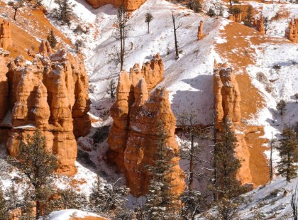 Usher in the New Year at beautiful Zion & Bryce Canyon National Parks on this special hiking and snowshoeing holiday trip led by top guides.