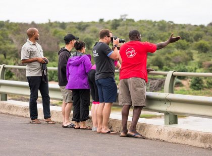 Group of travellers looking out to South African landscape on an Intrepid tour.