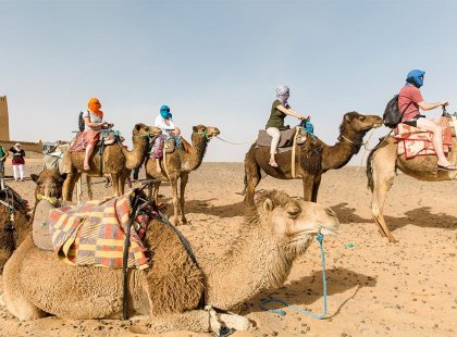 Travellers sitting on camels in Sahara Desert, Morocco