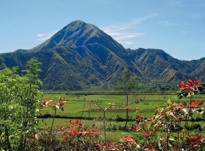 Typical landscape in Lombok
