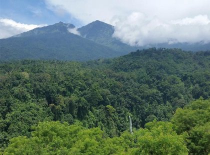 Rainforest and Mt Rinjani, Senaru, Lombok, Indonesia