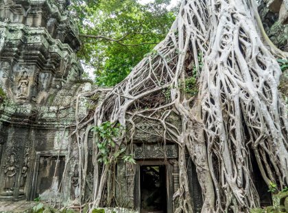 GTCA_real-cambodia_angkor-wat_temple_trees