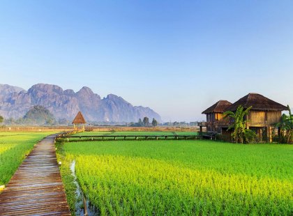 Traditional rice-paddy fields in Vang Vieng, Laos.