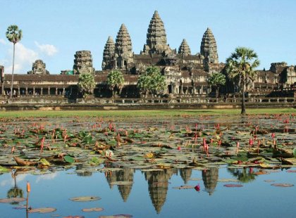 Angkor Wat and lily pads