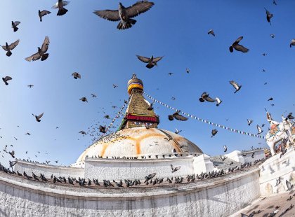 Flying birds in Bodhnath Temple, Kathmandu, Nepal