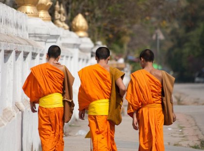 laos luang prabang monks buddhist walking