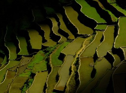 sagada rice field steps in shadow