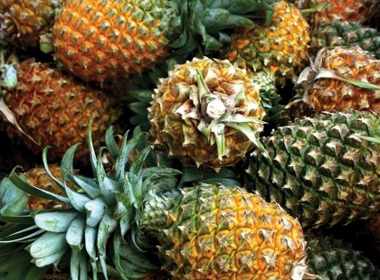 belize san ignacio pineapples