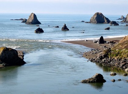 Take in stunning vistas along the Pacific Coast as we head north to the Russian River and wine country.