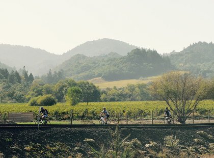 Cycle in the Dry Creek and Alexander valleys with views of the Sonoma and Mayacamas mountains.