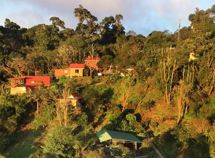 We spend one night in the cloud forest of Cerro de la Muerte where we are greeted with sweeping mountain views and surrounded by exceptional areas for wildlife viewing.