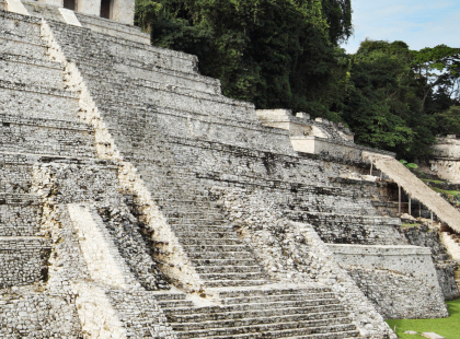 Mayan Discovery