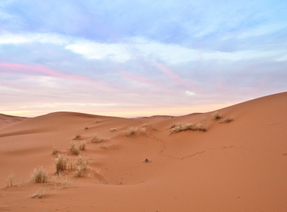 Morocco Journey - Sahara Dunes & Culture Excursion