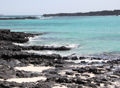 Galápagos Central Islands & Inca Discovery