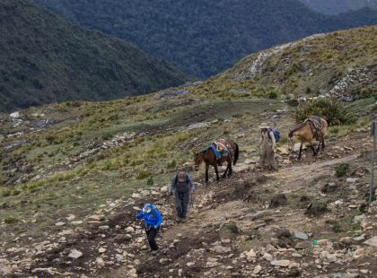 Choquequirao to Machu Picchu Trekking