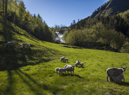 Cruise the Norwegian Fjords with Scottish Highlands