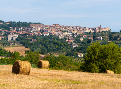 Local Living Italy - Southern Tuscany