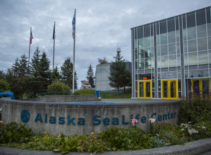 Alaska Journey - Alaska SeaLife Center