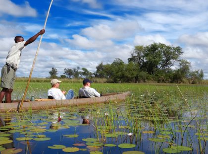 Glide through the waterways of the Okavango Delta where a multitude of birds may be seen, and lumbering elephants wade through thick papyrus stalks.