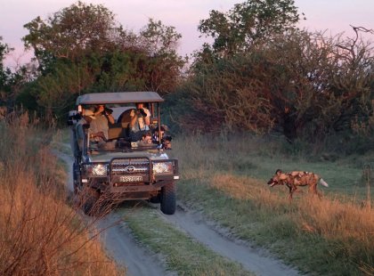 Our adventure concludes at the premier Timbavati Game Reserve, which borders the expansive Kruger National Park.