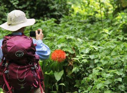 Starting in lush rainforest on its western side, we hike through Kili’s six ecological zones.