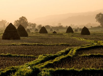 Bike and hike through picturesque farmlands and villages, experiencing Myanmar’s authentic charm.