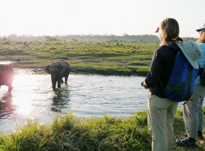 Bordering India are the wildlife-rich subtropical jungles of Chitwan National Park.