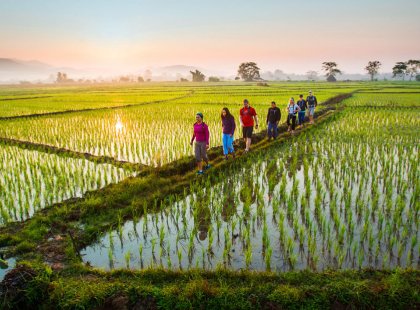 Exploring the Thai countryside on foot means trekking through remote villages and fields, sometimes along narrow rice paddy dams.