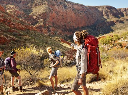 Spend four days hiking the remote Larapinta Trail.