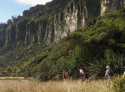 Hiking through the temperate rainforest and limestone cliffs of Paparoa National Park is an incredible day’s adventure.