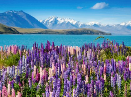 The shimmering glacial lakes and majestic peaks of New Zealand’s South Island are a hikers' paradise.