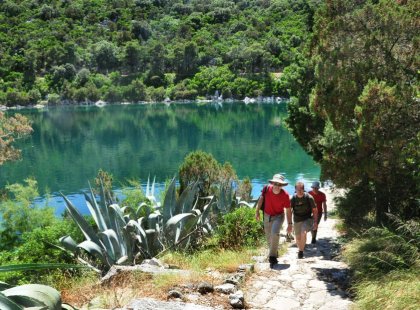Discover Mljet Island National Park, known for its saltwater lakes, wines, olive oil and goat cheese.