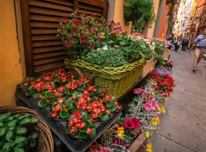 A local flower stand offers a delightful burst of color.