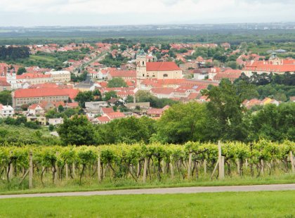 Stroll past vineyards in Southern Moravia, where over 90% of the Czech Republic's vineyards are located.