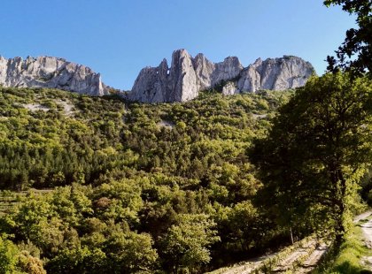 Our hike in the wine region of Gigondas takes place at the foot of the Dentelles de Montmirail, a mountain chain of sharp, dramatic, rocky peaks.  Enjoy a private wine tasting a local winery after our hike.