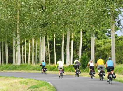 We mostly ride on paved, protected bike paths that wind through the countryside's forests, villages, farms, vineyards, and magnificent chateaux.