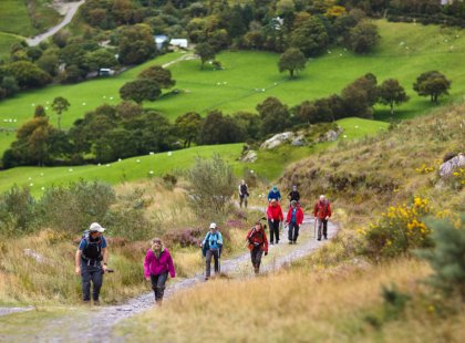 A local guide leads us through our favorite stretch of the Beara way, coloring our hike with tales of growing up and living in this remote, traditional outpost.