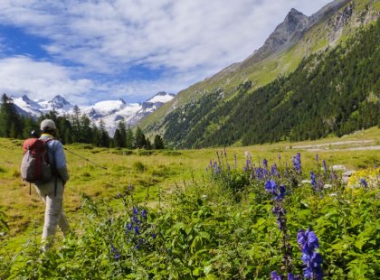 Roseg Valley, considered one of the most beautiful valleys of the Swiss Alps